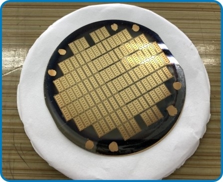 FI-7870 Oro puro elettroplato